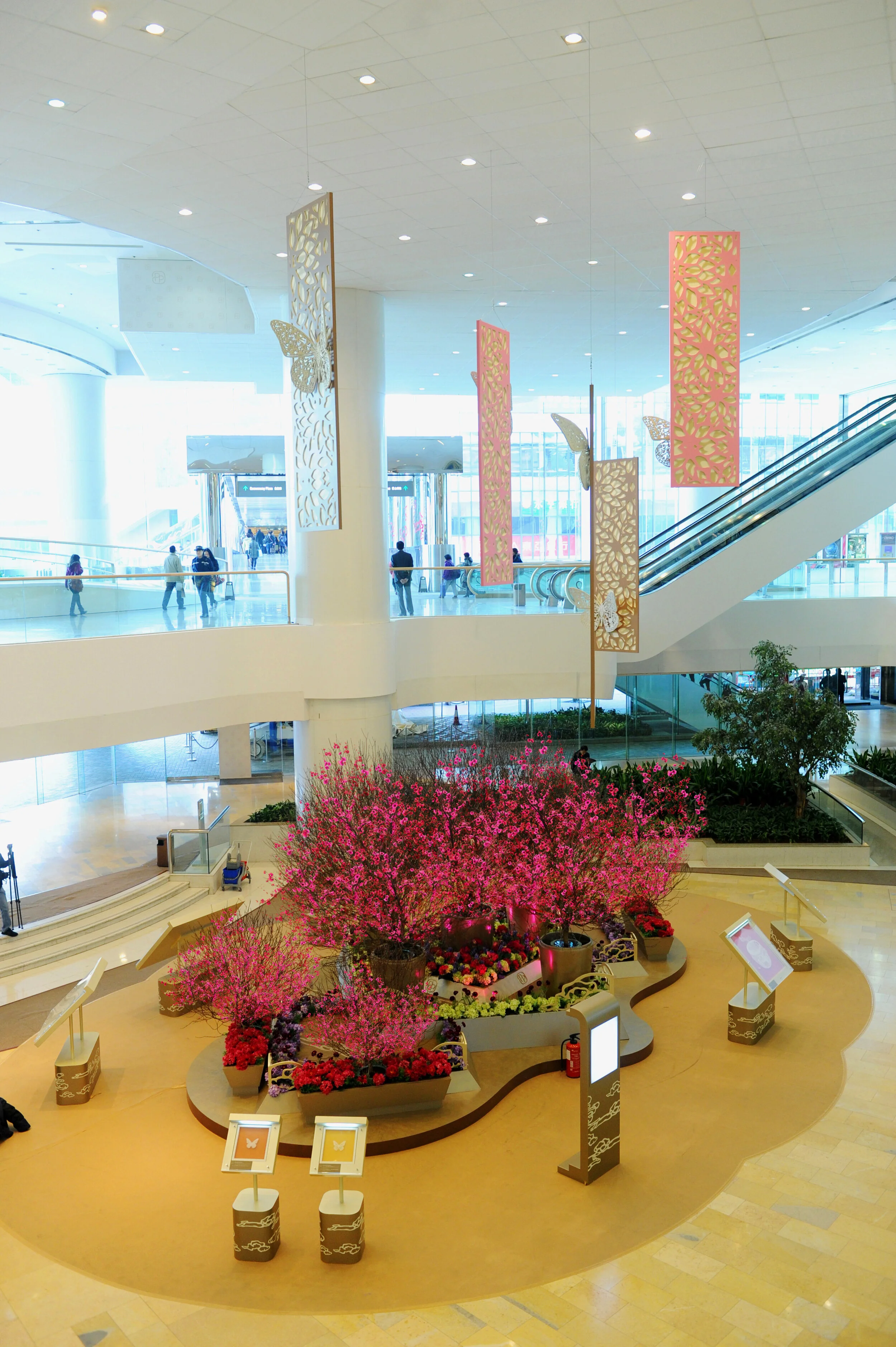 boveylee-pp-solo-and-install-10.jpg