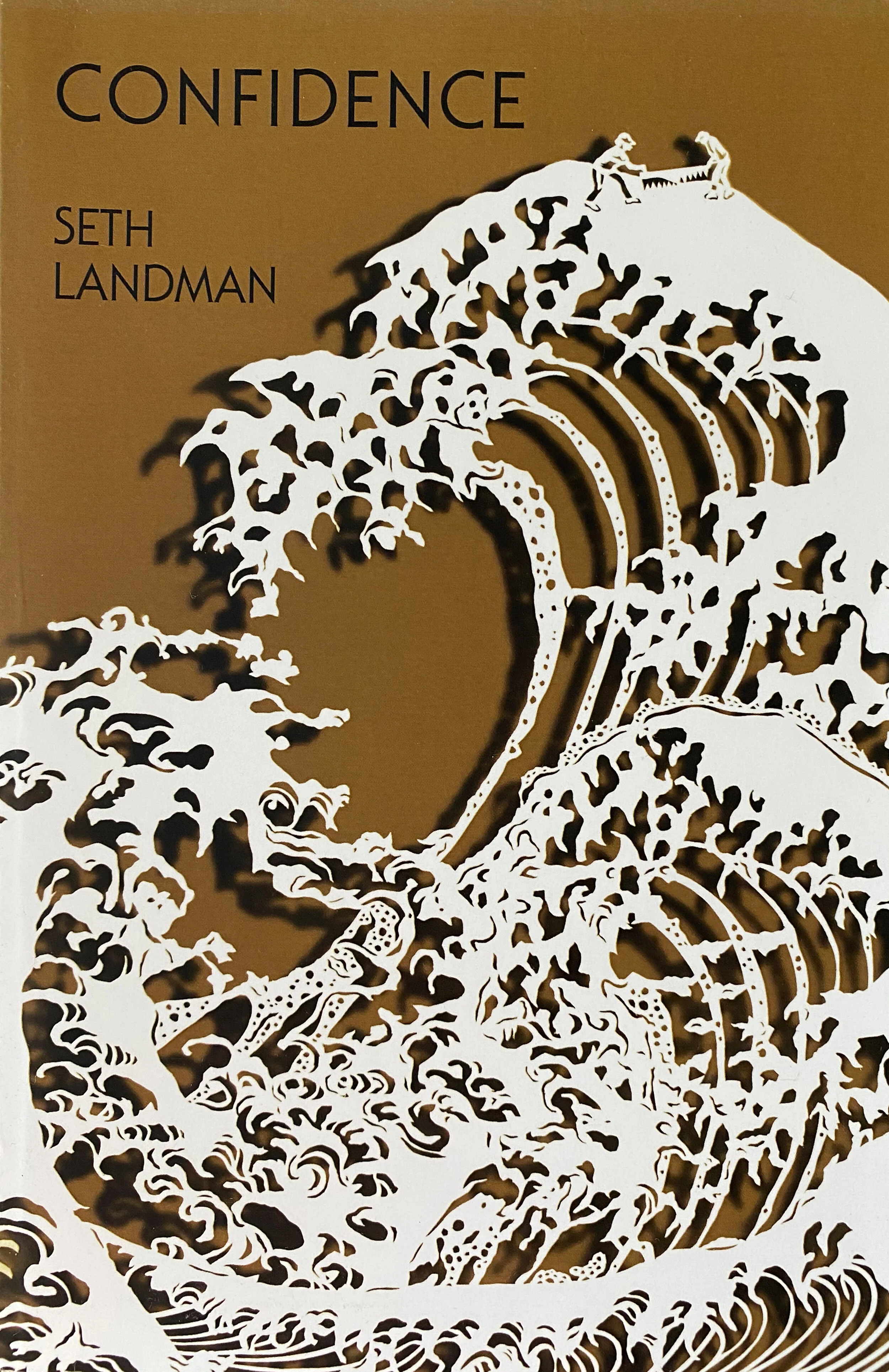Confidence by Seth Landman Published by Brooklyn Arts Press 2015