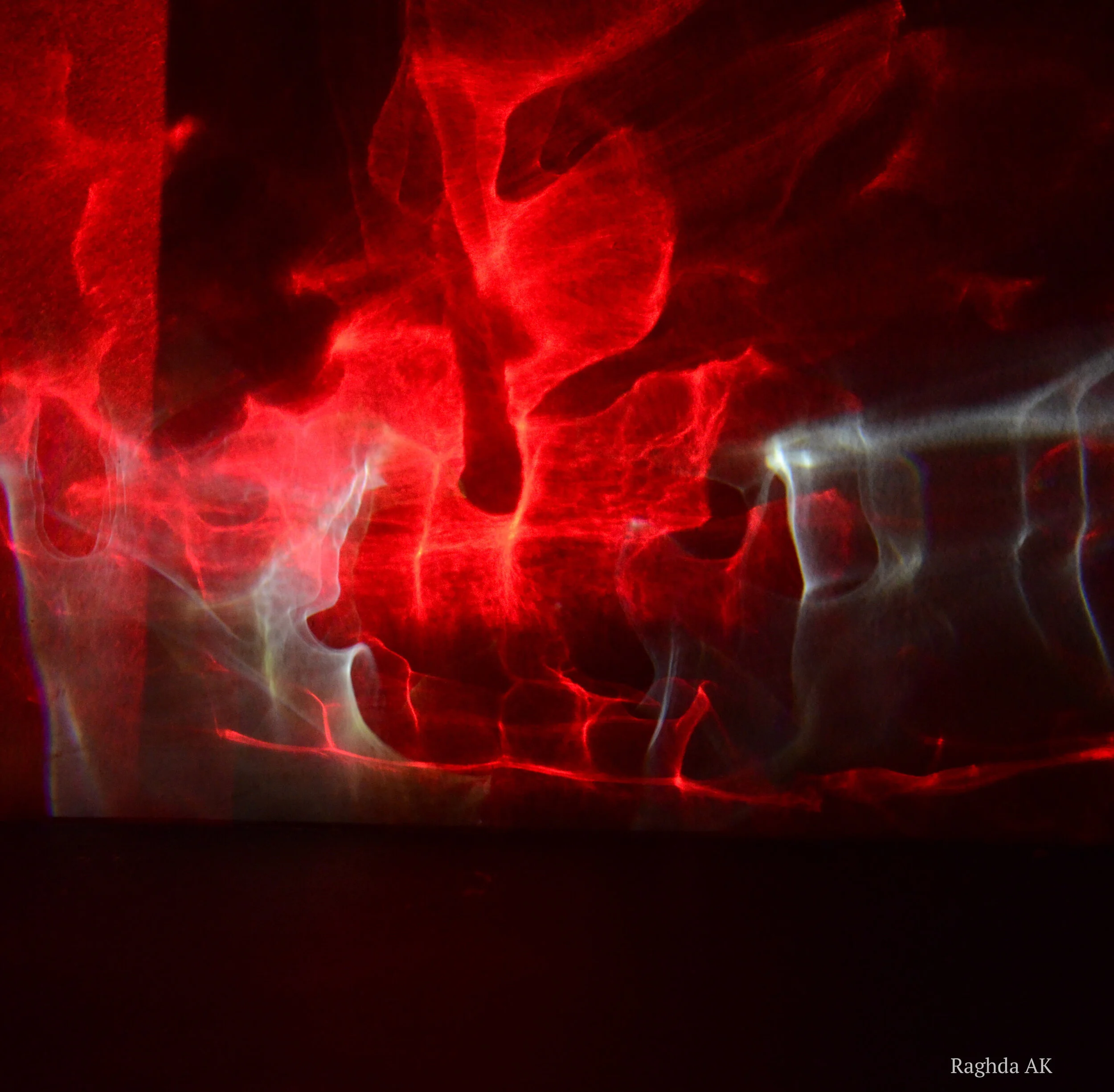 Raghda_2_signed-1 red.jpg