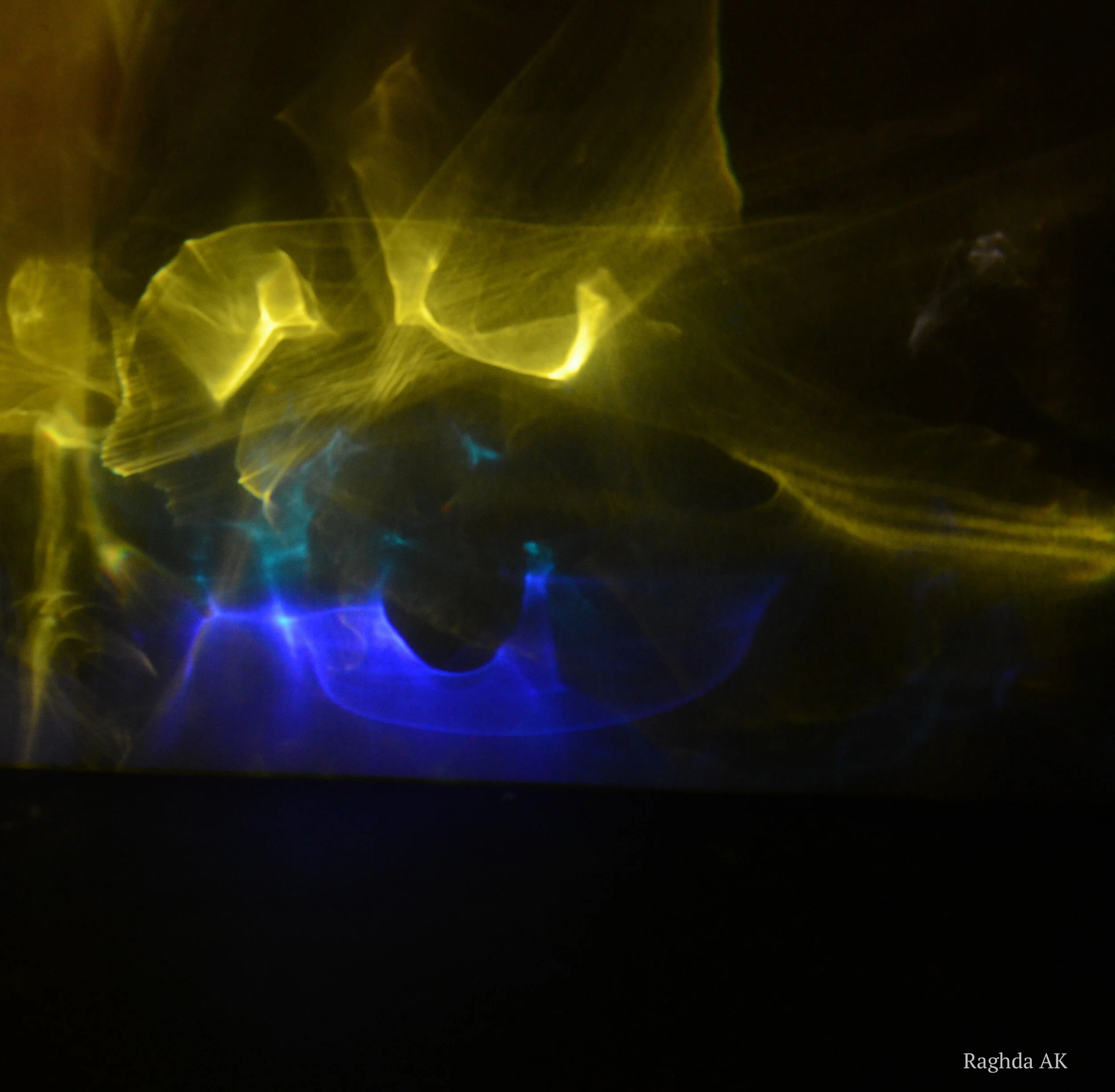 Raghda_3_signed blue yellow.jpg