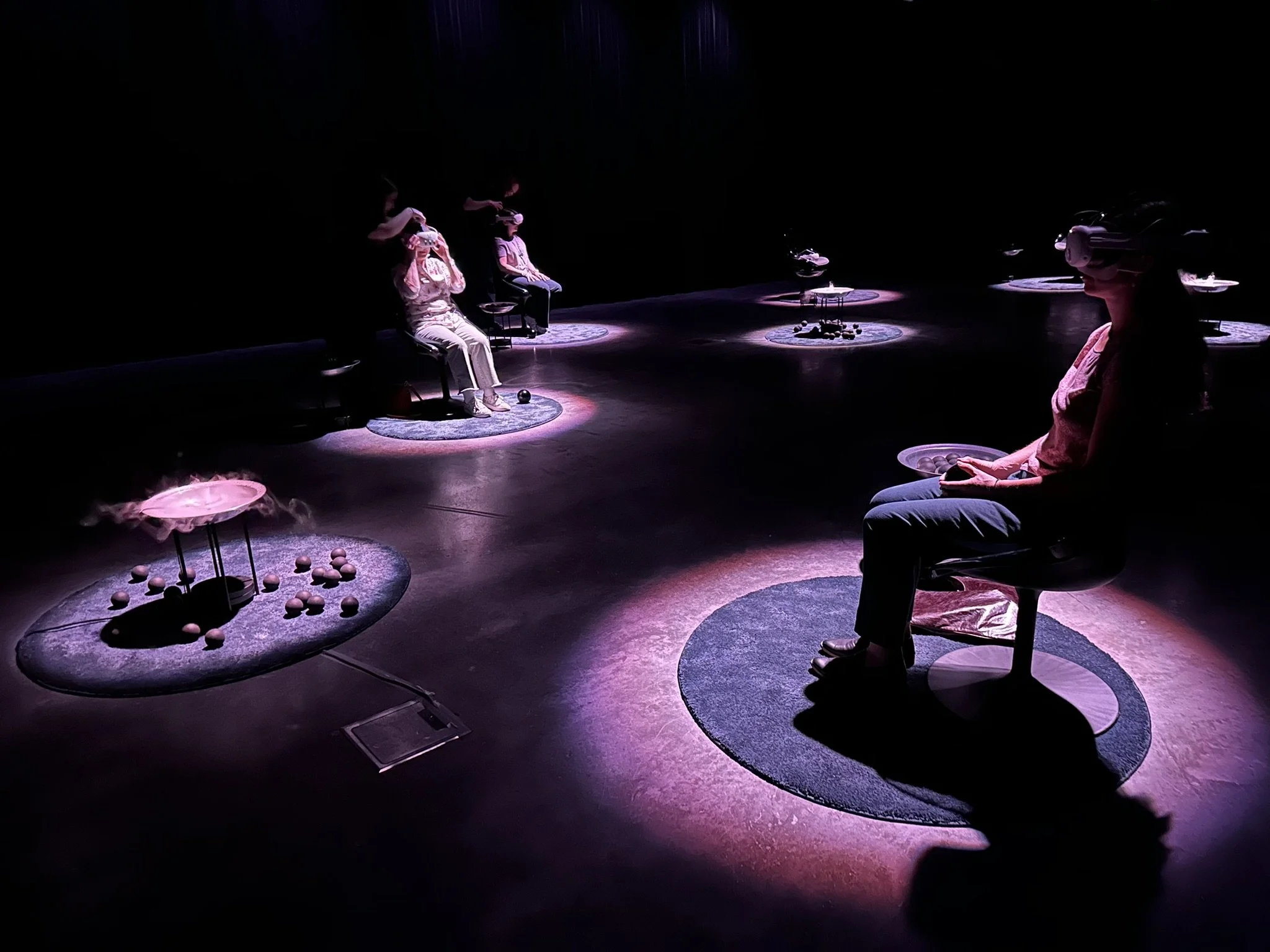 Sensing Dark Matter at the Melbourne Science Gallery 