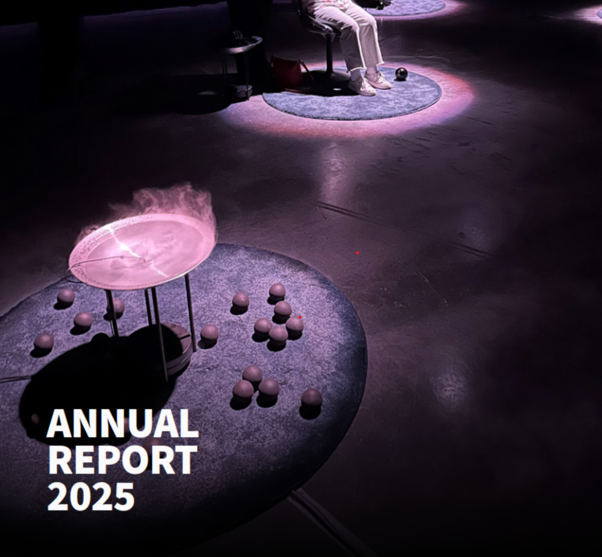 ARC Centre of Excellence for Dark Matter Particle Physics 2025 Annual Report