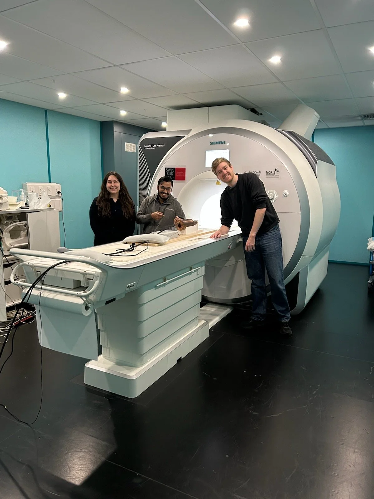 ORGAN experiment in Victoria 'switched on'