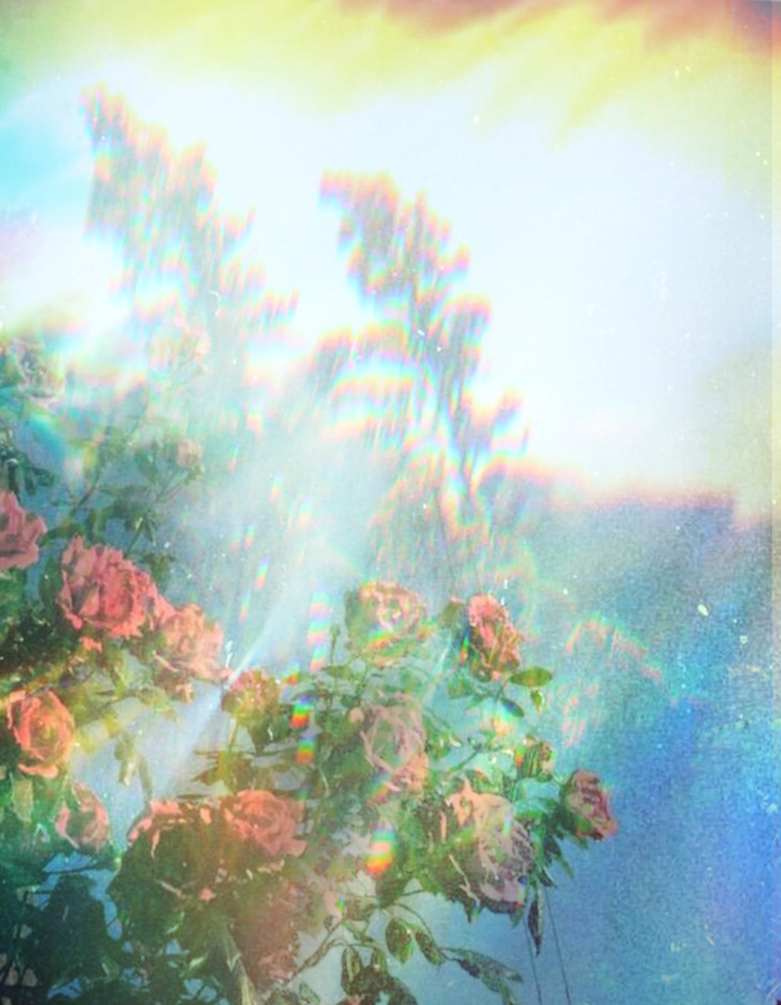 euphoric.jpg