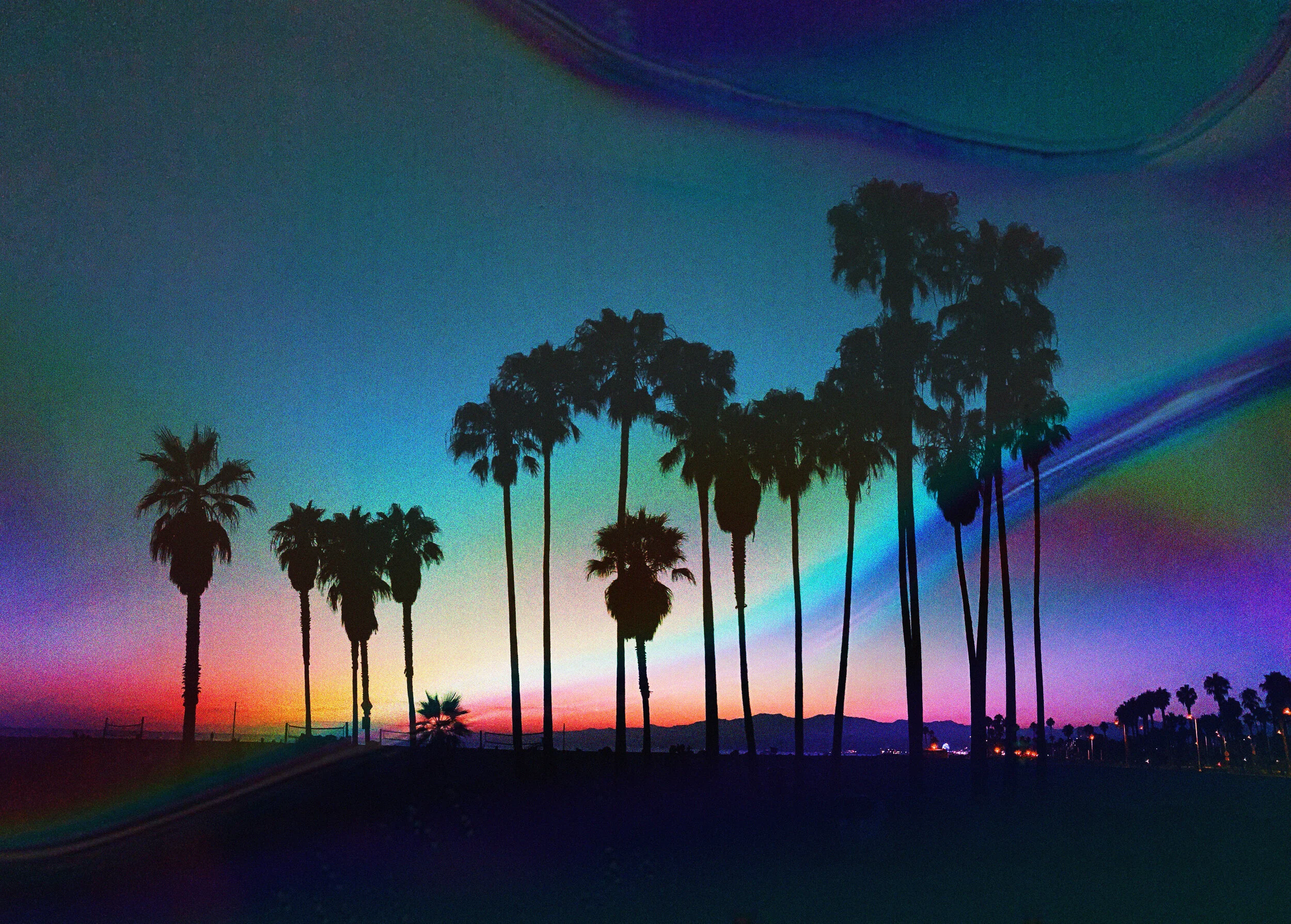 rainbow_palm_smaller.jpg
