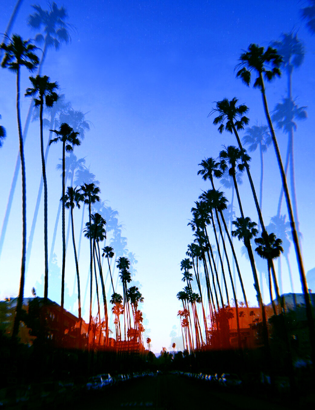 santa monica.jpg