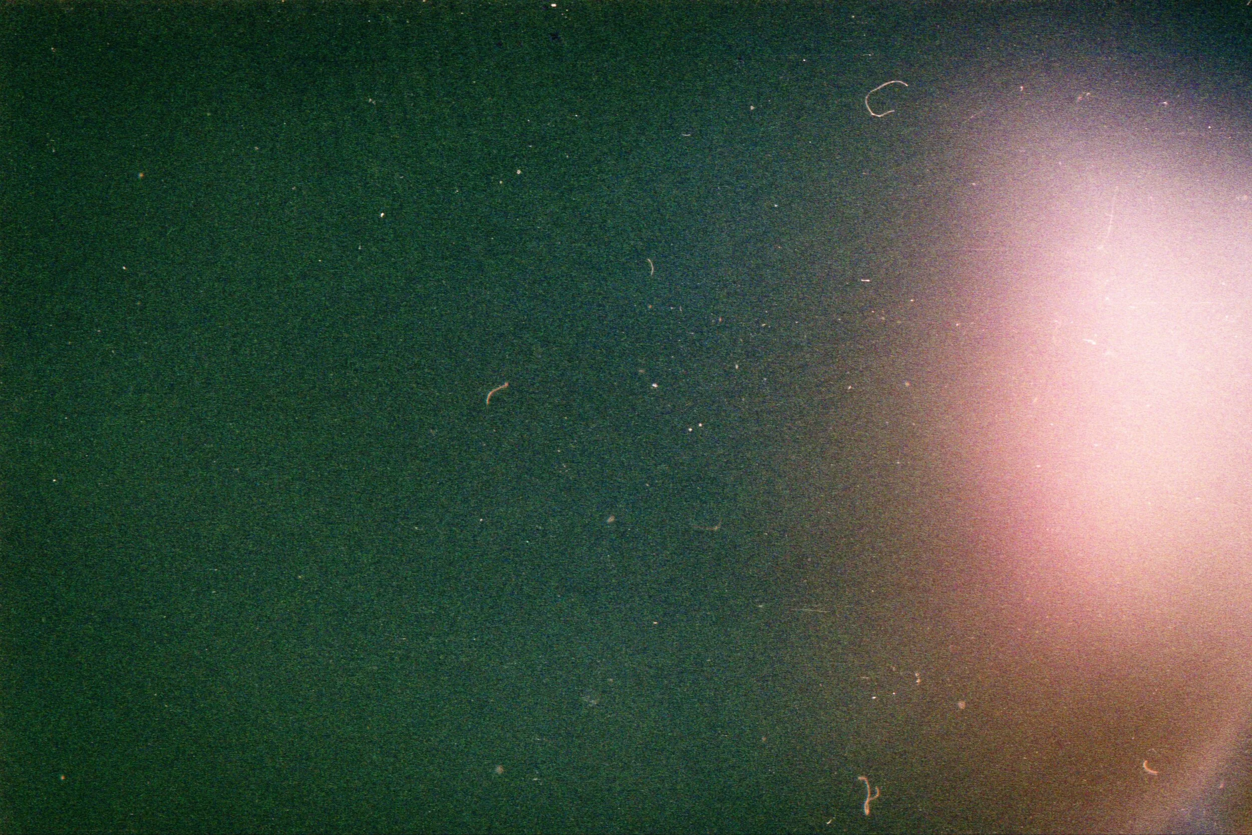 33ADAD11-1121-4E9C-BB05-E357842CF84E.jpg