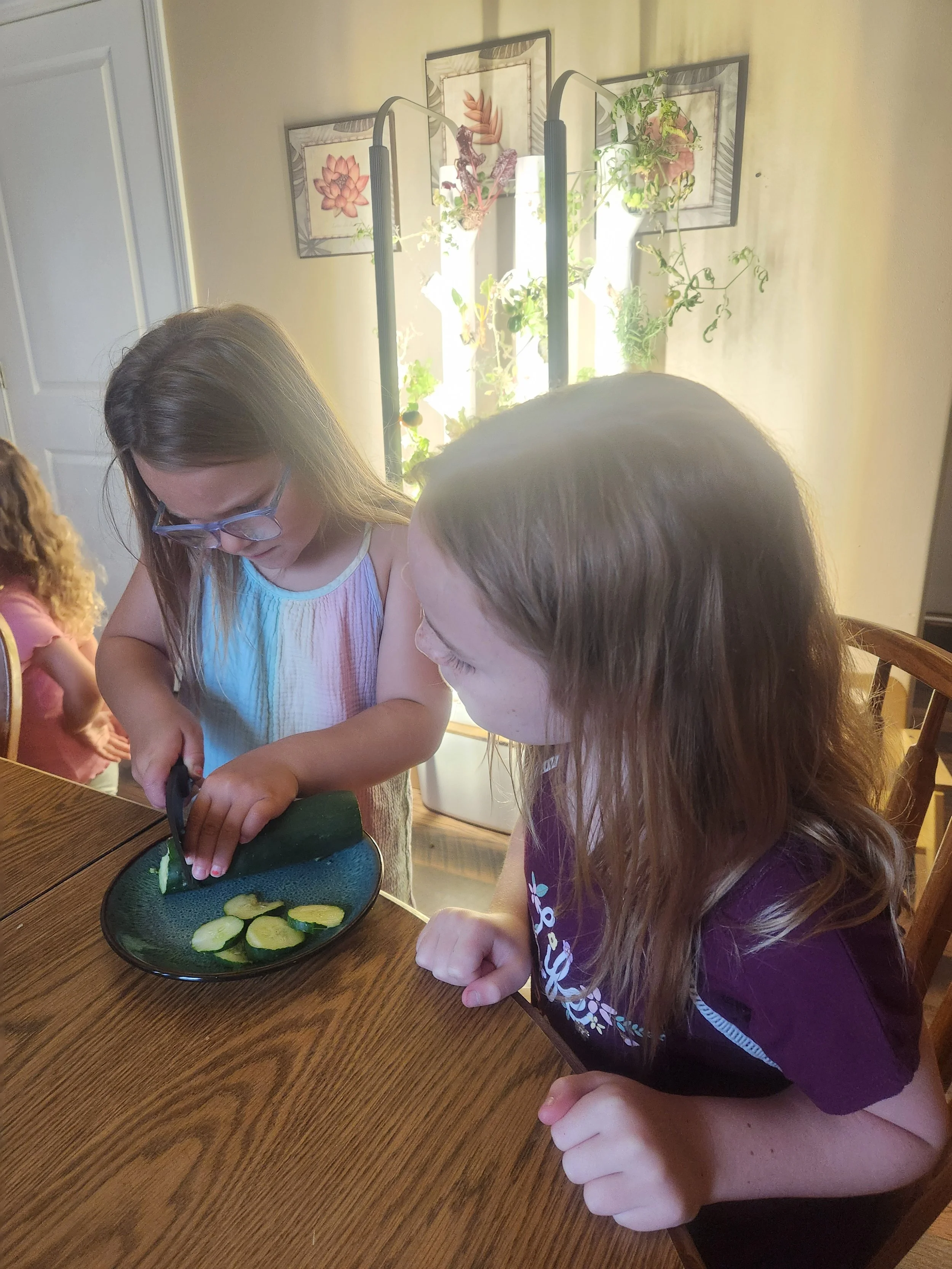 Little Sprouts Early Learning CDH