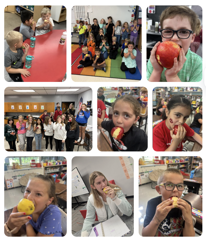 Riceville Community Schools