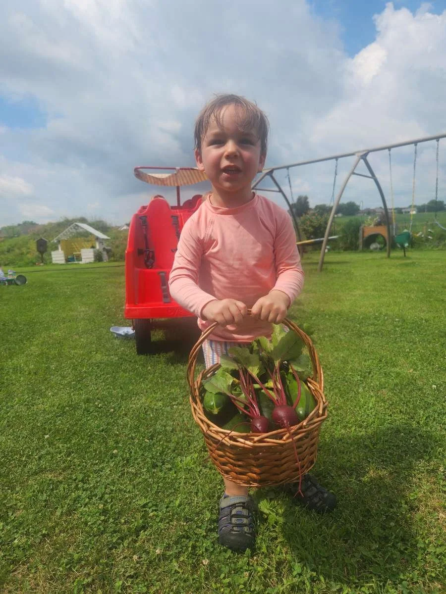 Little Sprouts Early Learning CDH
