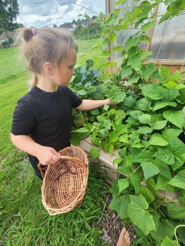 Little Sprouts Early Learning CDH