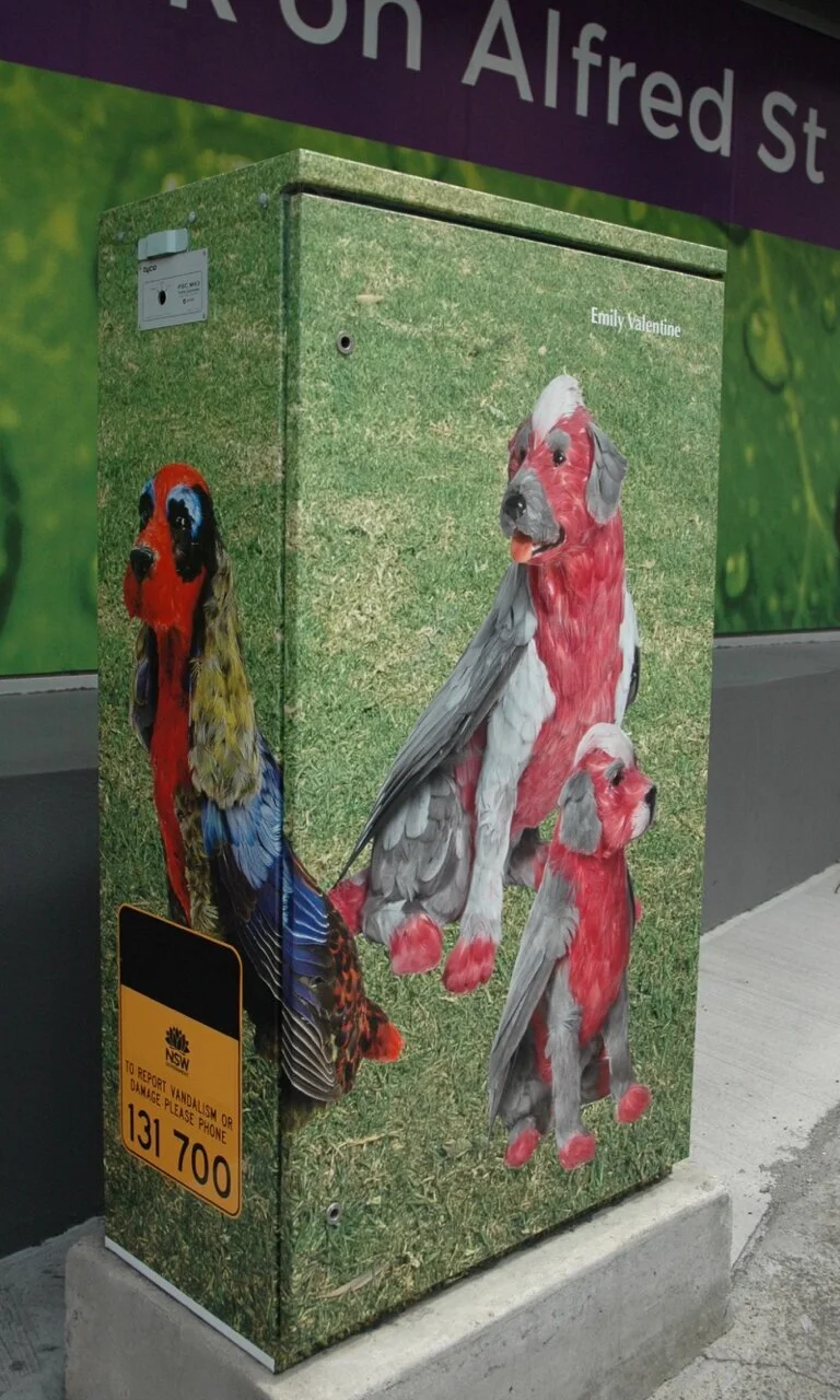  Feather Dogs boxes Cnr Princes Hwy 