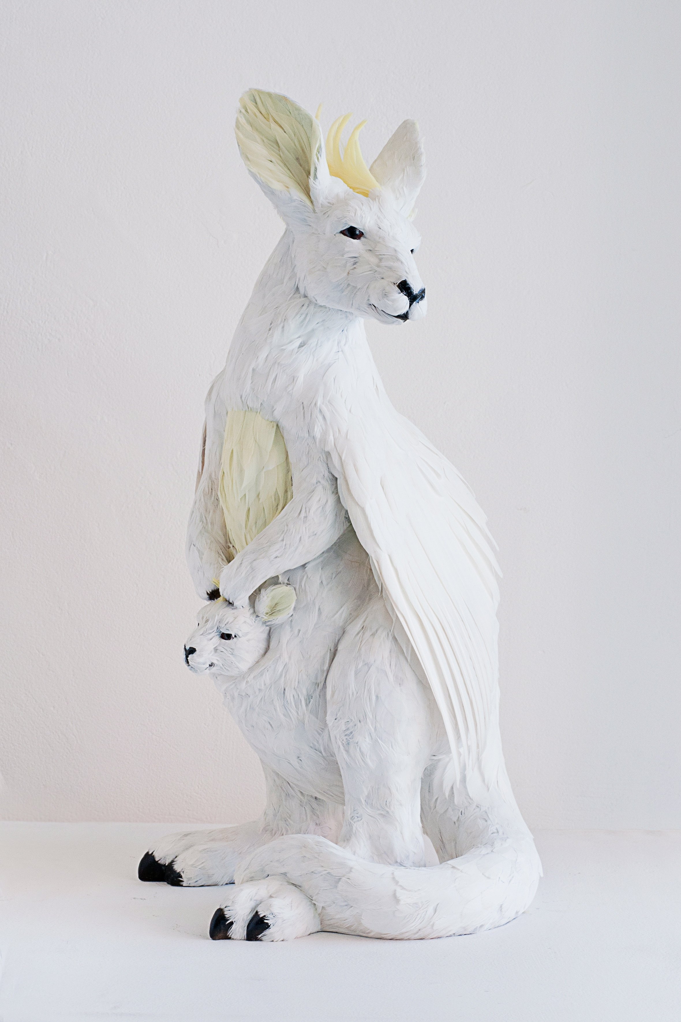 Cockaroo 2014
Cockatoo feathers and mixed media 57x36x33cm (Photo; John Lee) Sold