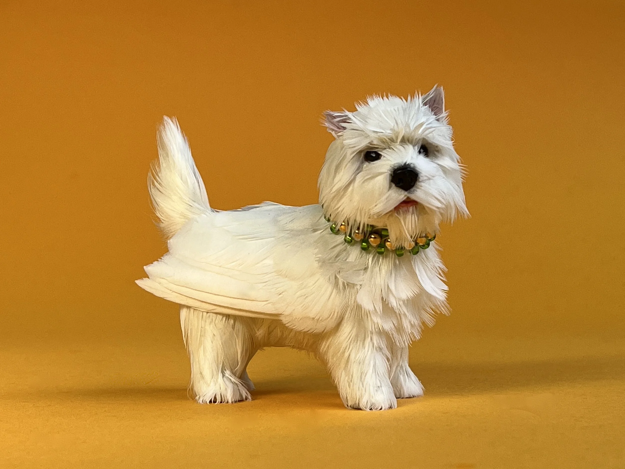   Angel of Newtown 2025