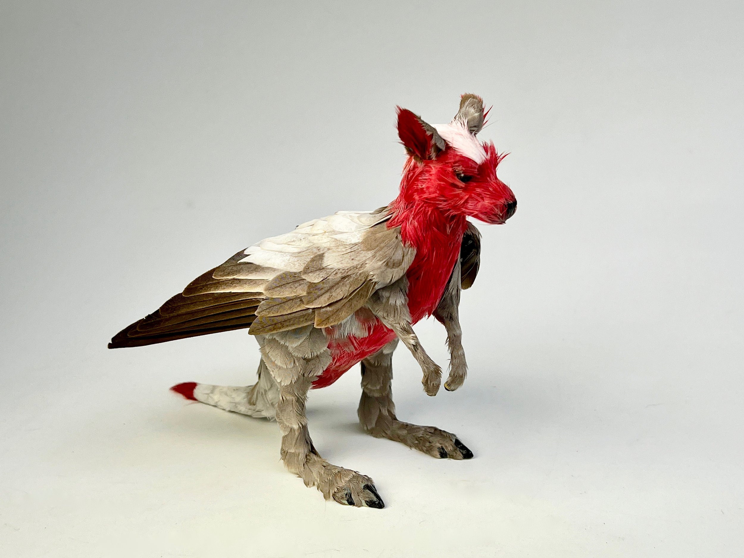 Galaroo 2022 Galah Feathers and mixed media 14x10x18cm RRP $750  Sold