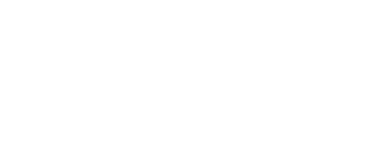 Pick Your Own Sunflowers Dunnstown