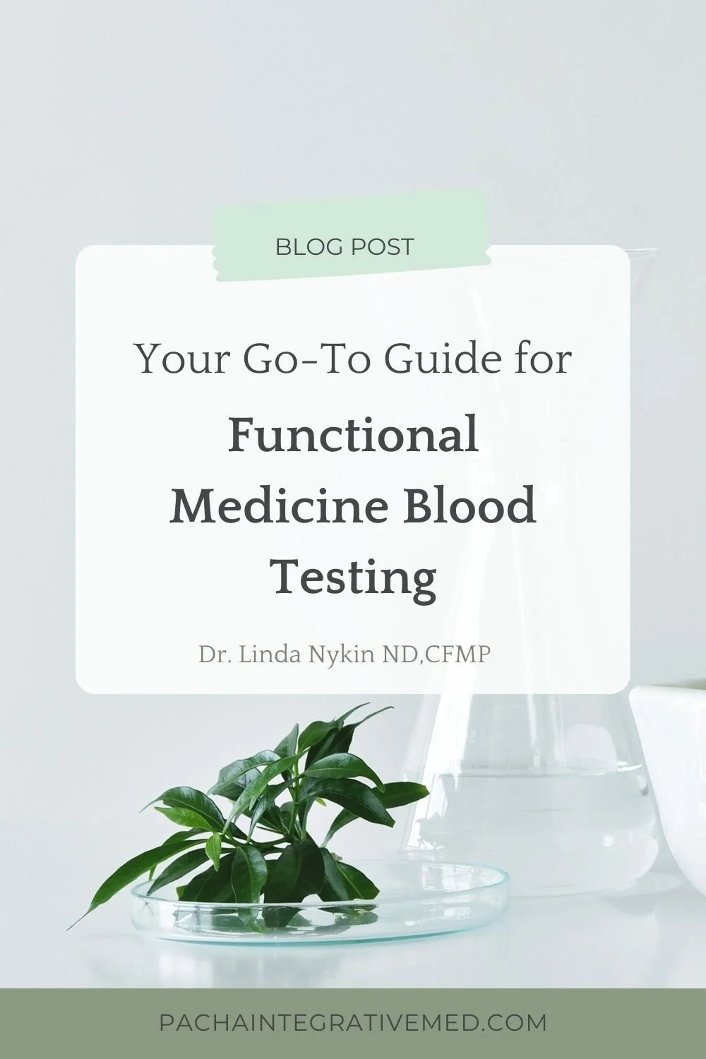 Functional Medicine Blood Tests: Your Comprehensive Guide | Dr. Linda ...