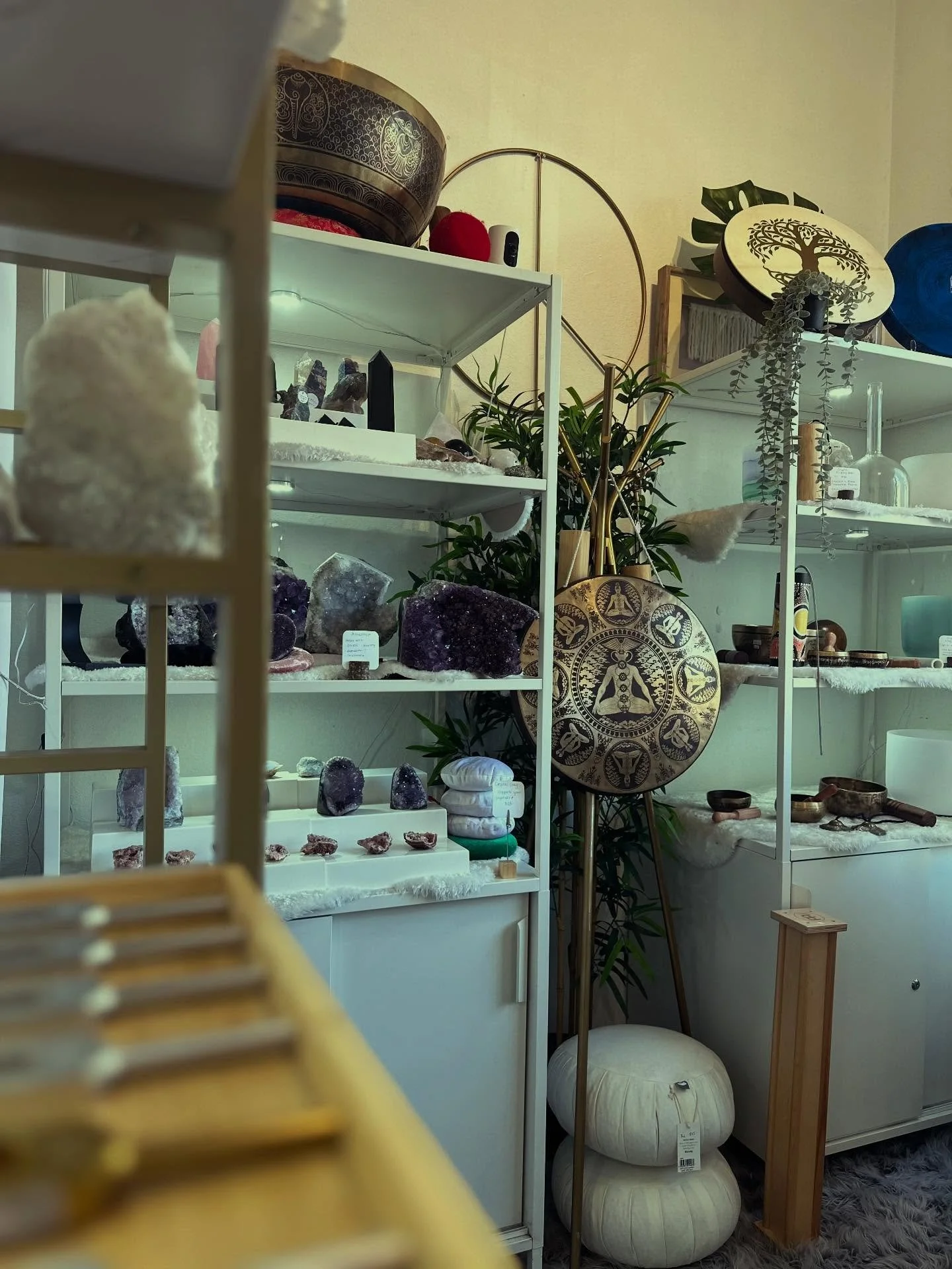 ✨ Evergreen Market Holiday Magic ✨
Step into a space of peace, healing, and intention this holiday season. 🌲💫

Discover our curated collection of crystals, sound healing tools, meditation essentials, and chakra scans to support your mind, body, and