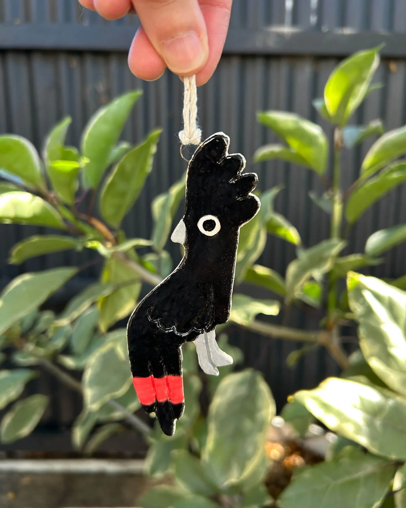 blackCockatoo1.jpg