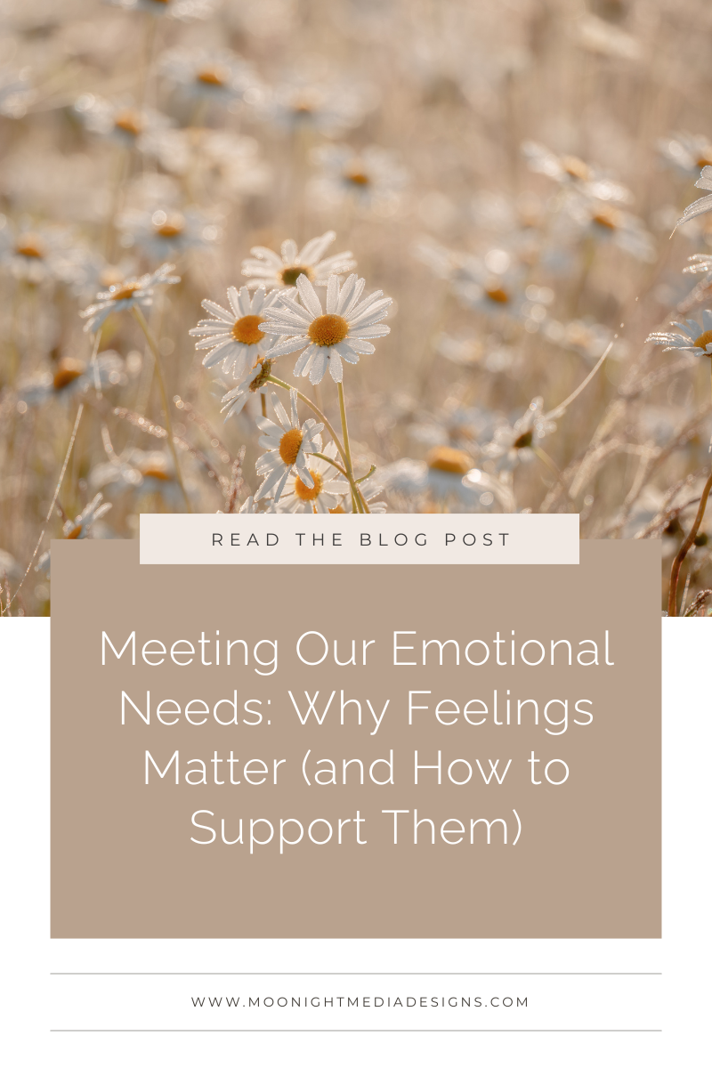 Meeting Our Emotional Needs: Why Feelings Matter (and How to Support Them)