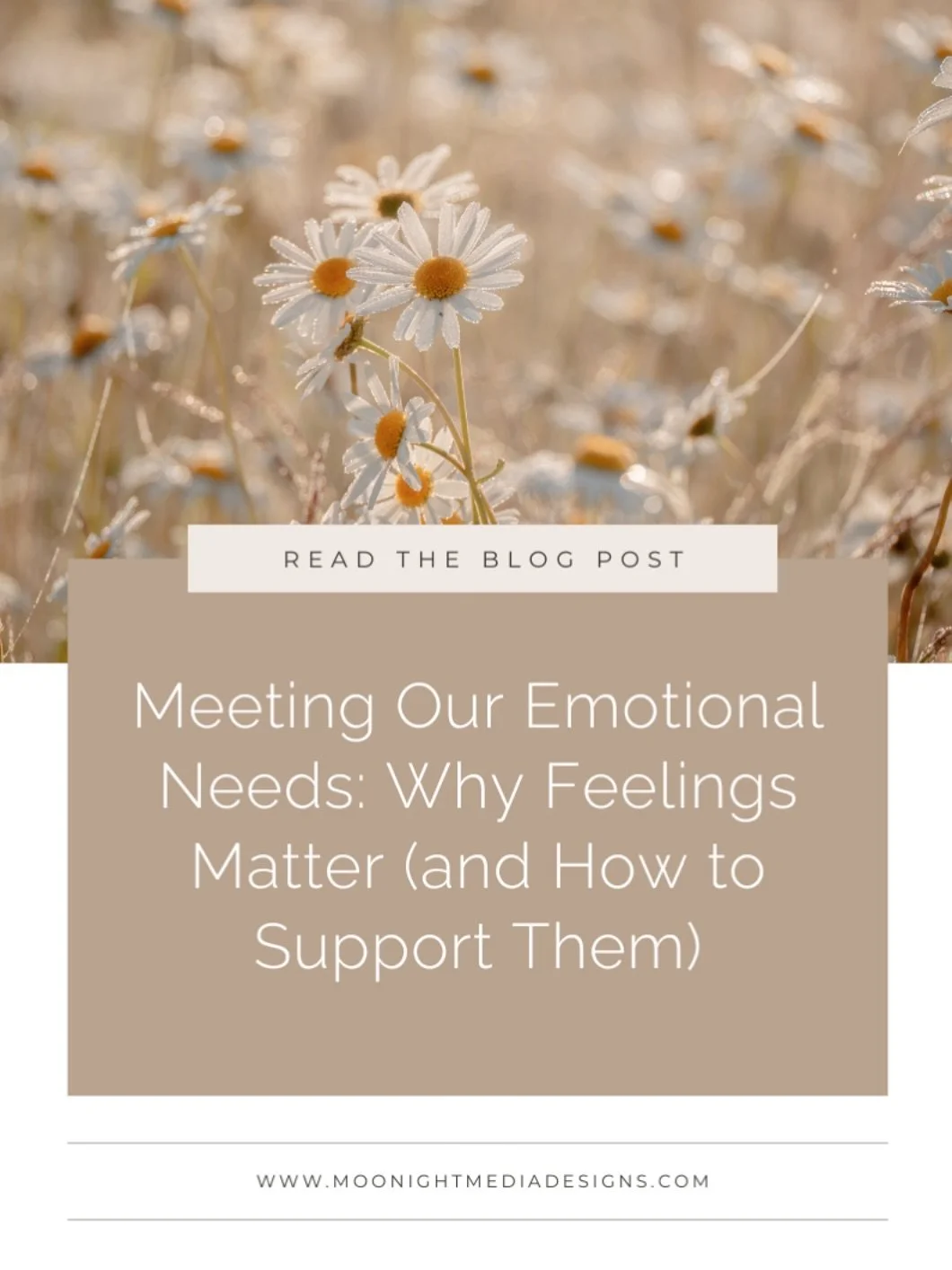 We all carry moments when emotions sneak in unexpectedly &mdash; that heaviness of sadness without a reason, the restlessness you can&rsquo;t shake, or the pressure to hold everything together. 🌿

Learning to pause and actually listen to what we&rsq