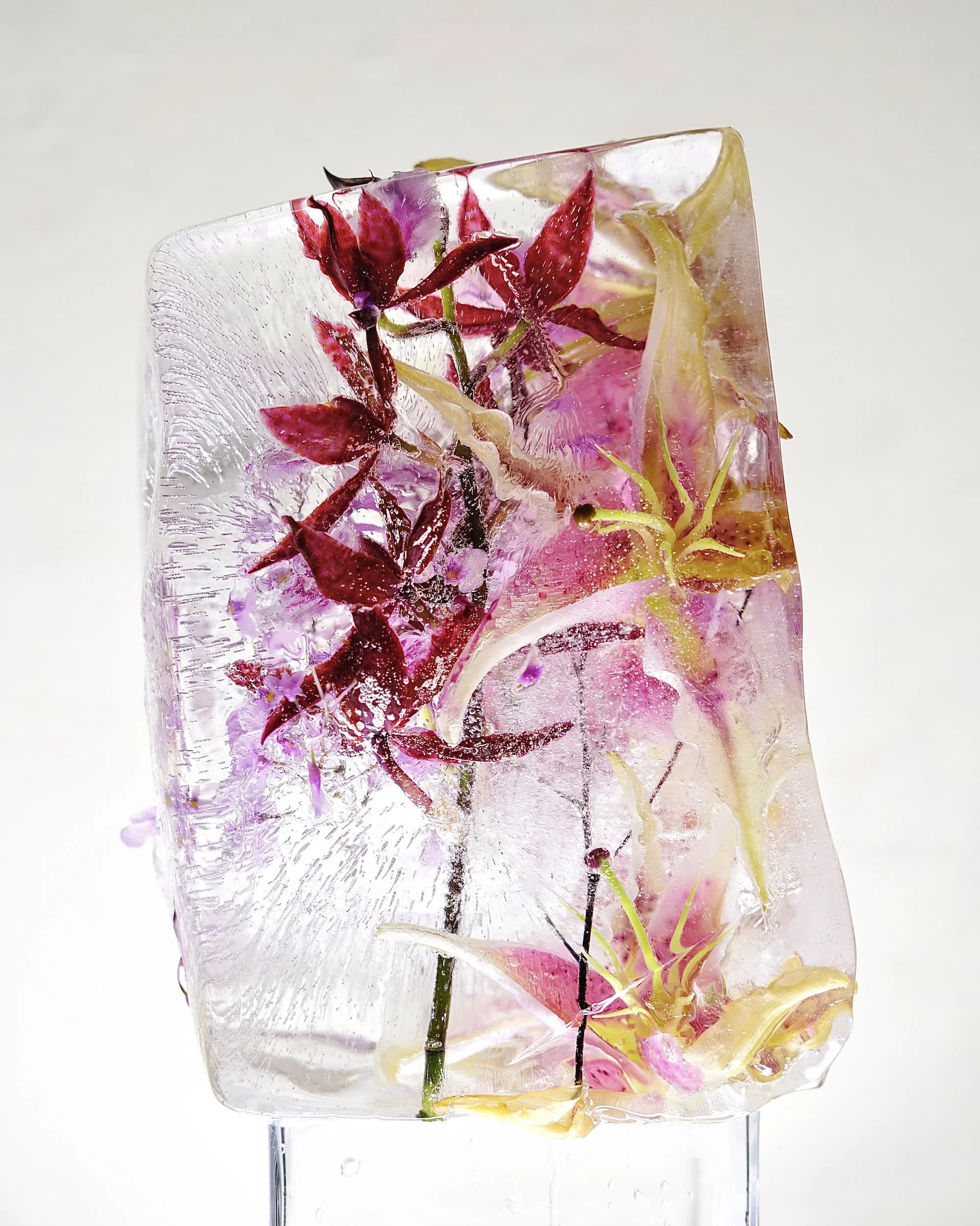 Lily heads & Orchids in Ice 1.jpg
