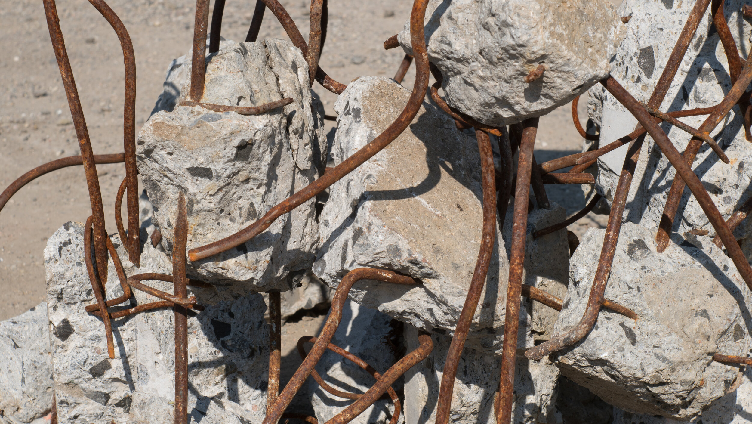 _DSC9843.jpg