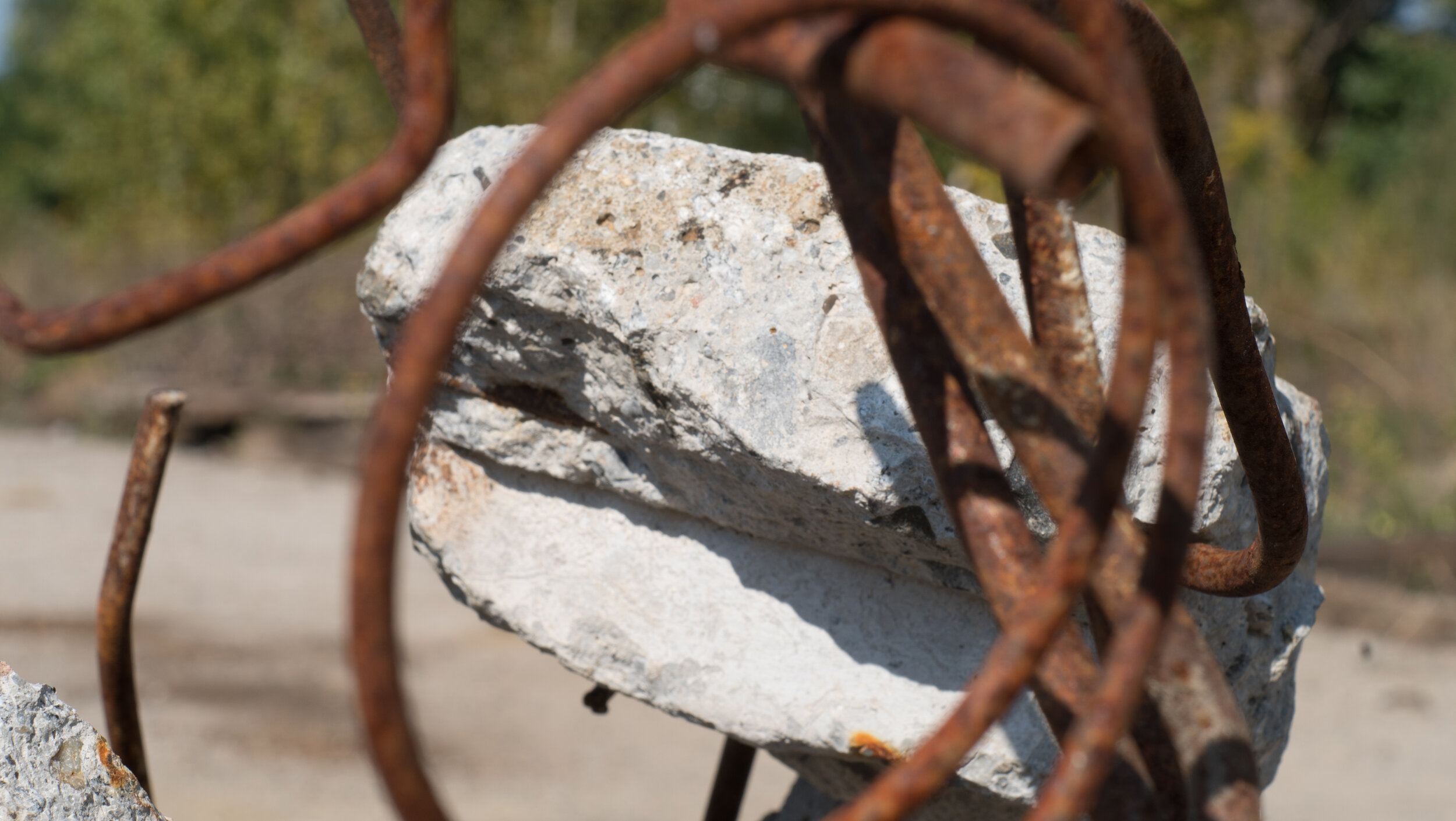 _DSC9847.jpg