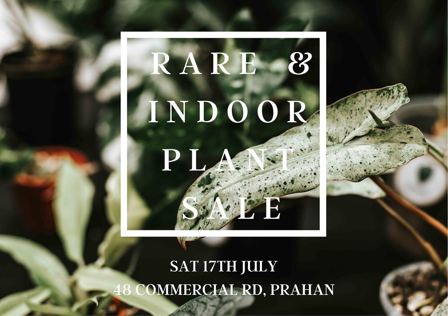 ROUND 2 
Botanicah x Plant Collector Melbourne Rare &amp; Indoor Plant Event 🌿

Back by popular demand and better than ever with many familiar faces in our amazing plant community to bring you even more plants!

@plantaddictanonymous 
@plantruptcy 
