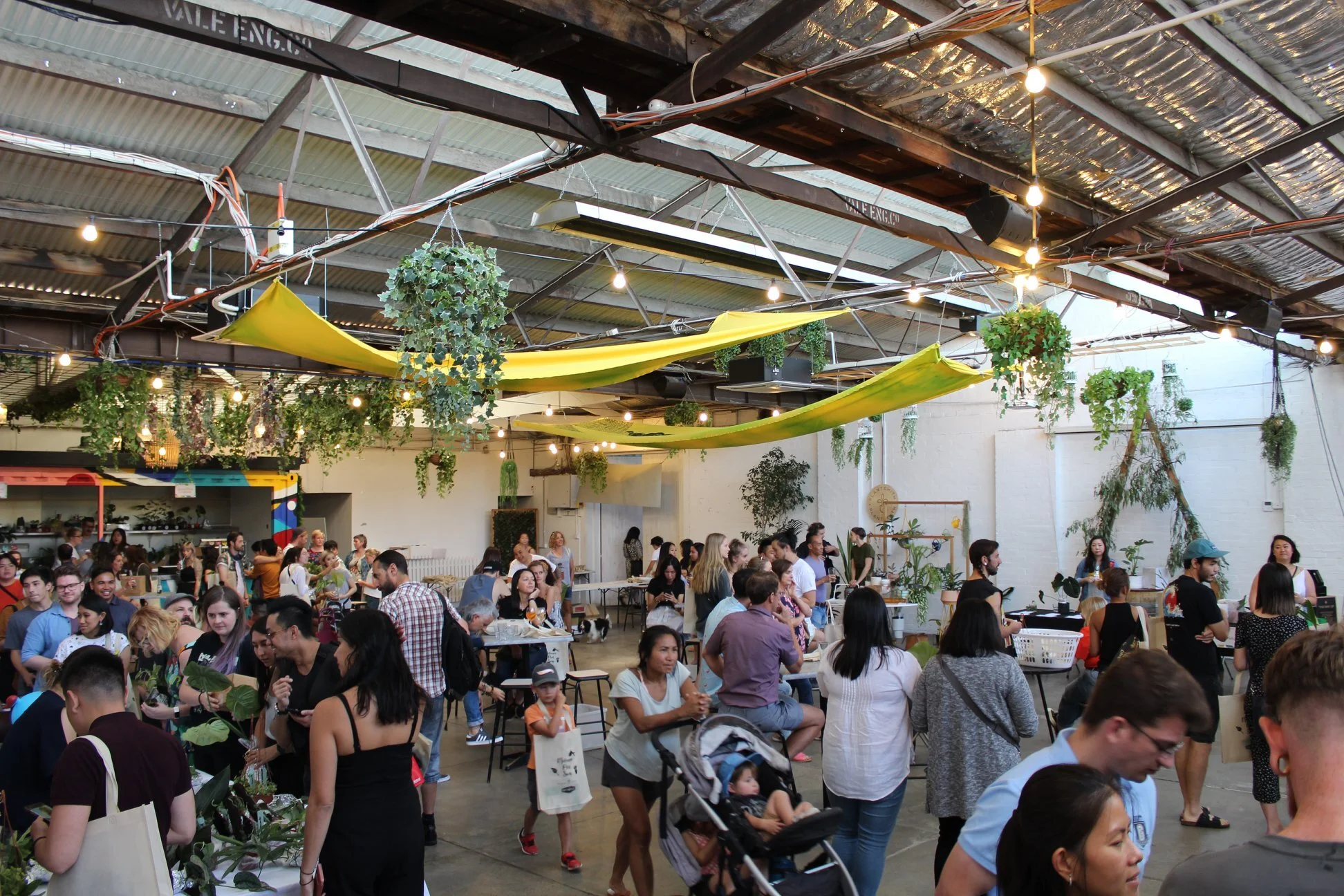 Gallery — Plant Collector Melbourne