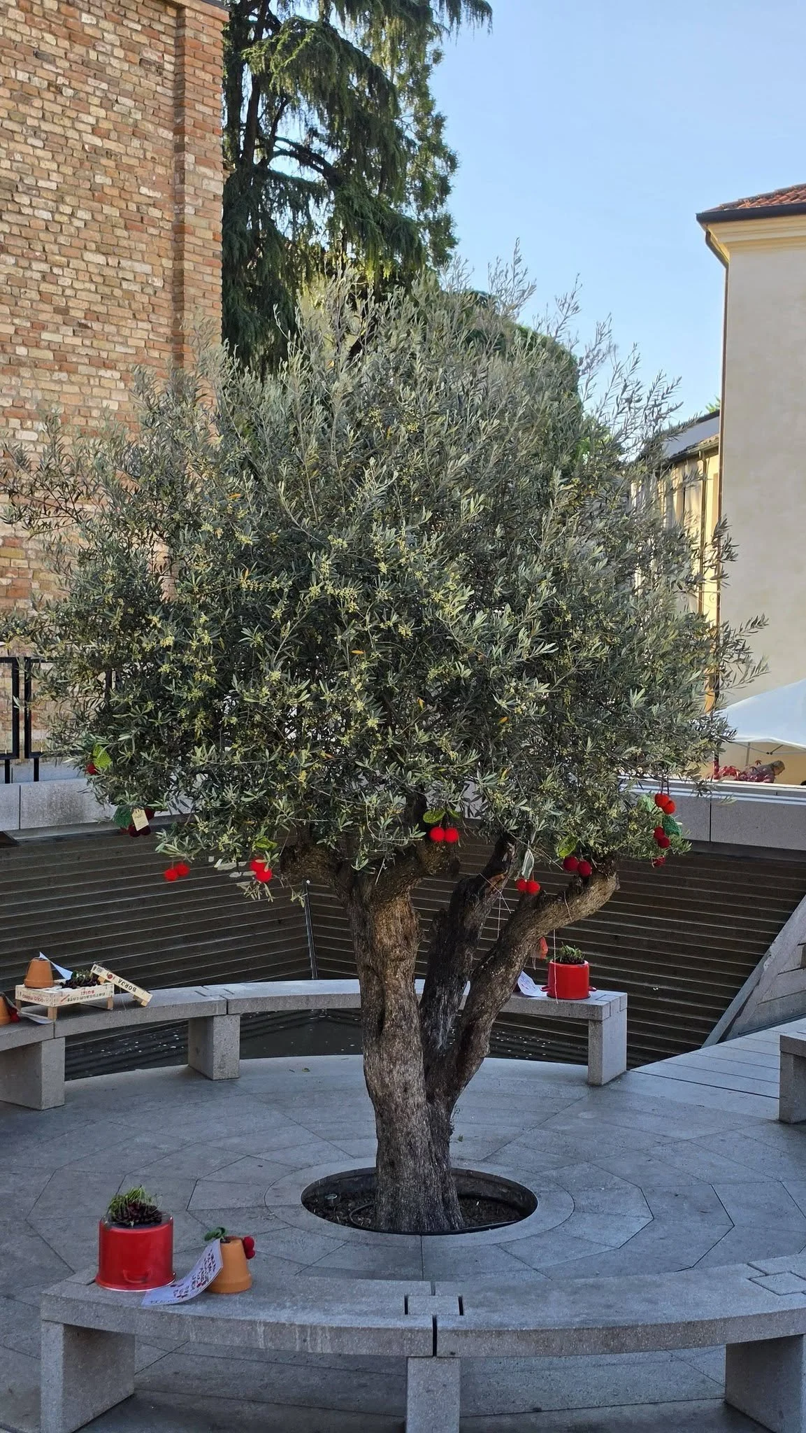 Laboratori Espositivi di Civico Vent8 per manifestazioni cittadine
