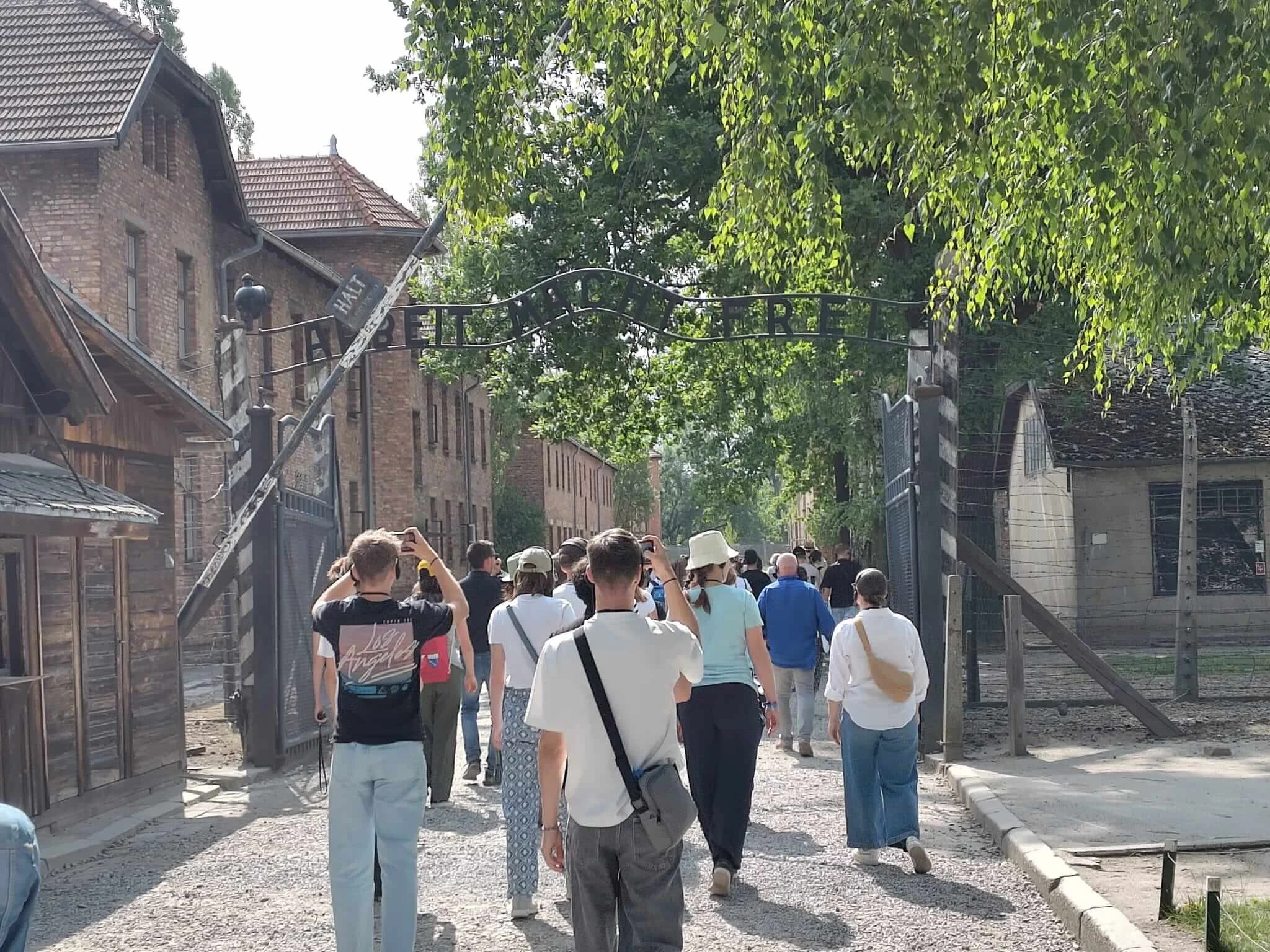 WhatsApp Image 2025-06-24 at 16.46.21.jpeg