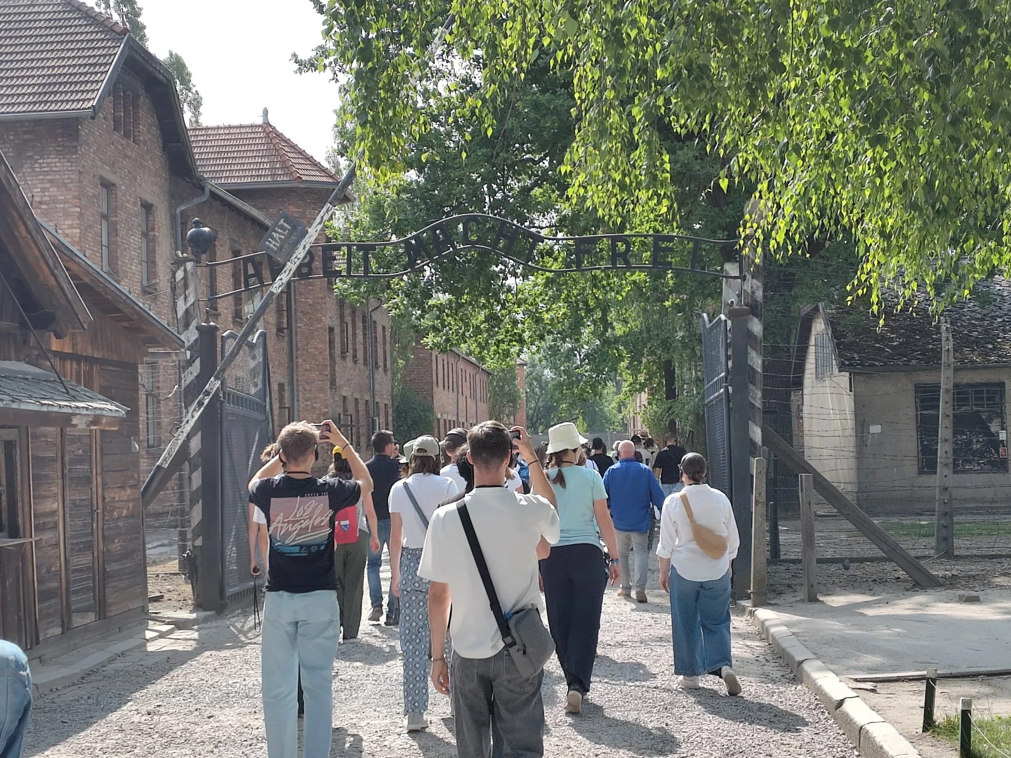 WhatsApp Image 2025-06-24 at 16.46.21.jpeg