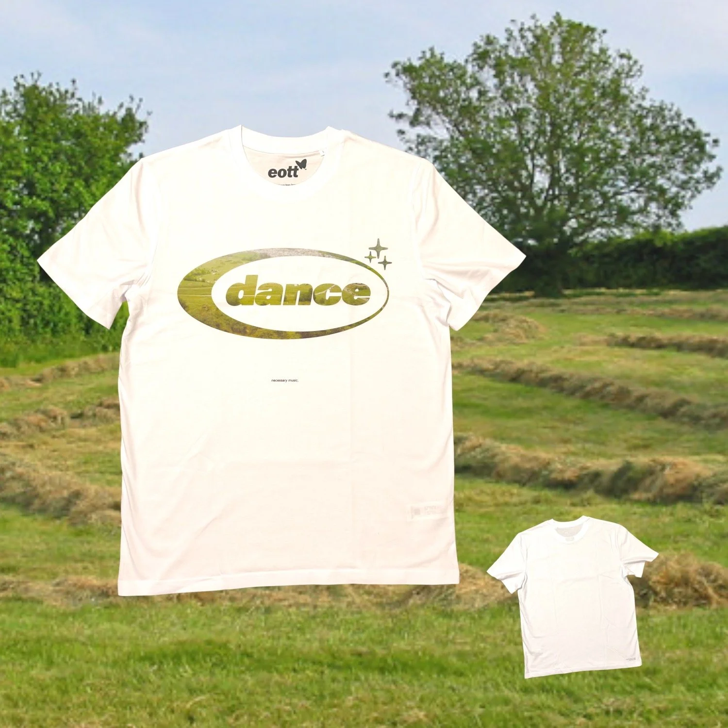 FRIENDS DANCE IN FIELDS PROD SHOT.jpg