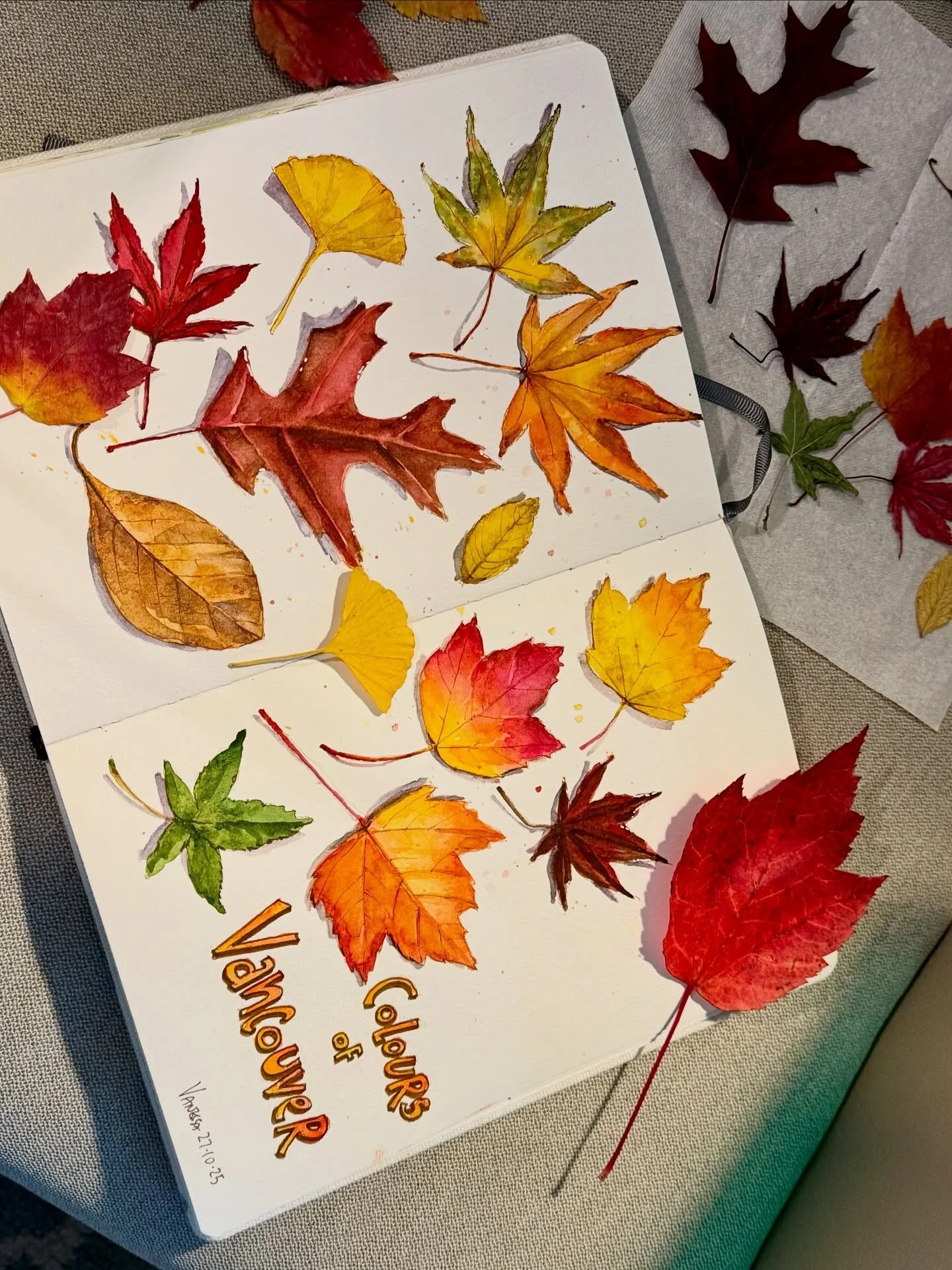 Beautiful colours of Vancouver!!
❤️😍💚🧡💜💛🍁🍂🌿🍁🍂🌱🌿