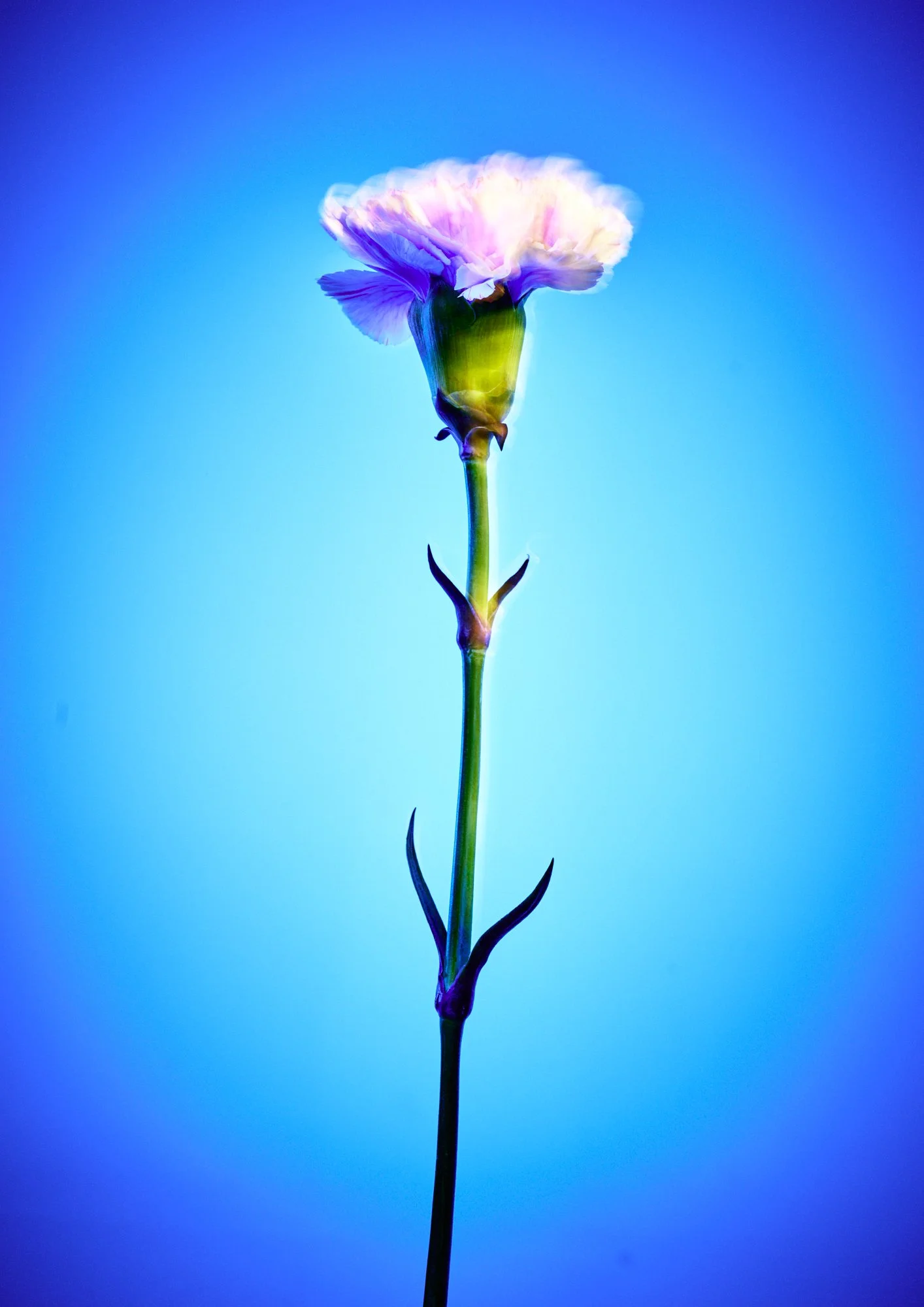 グラフィカル_0015.jpg