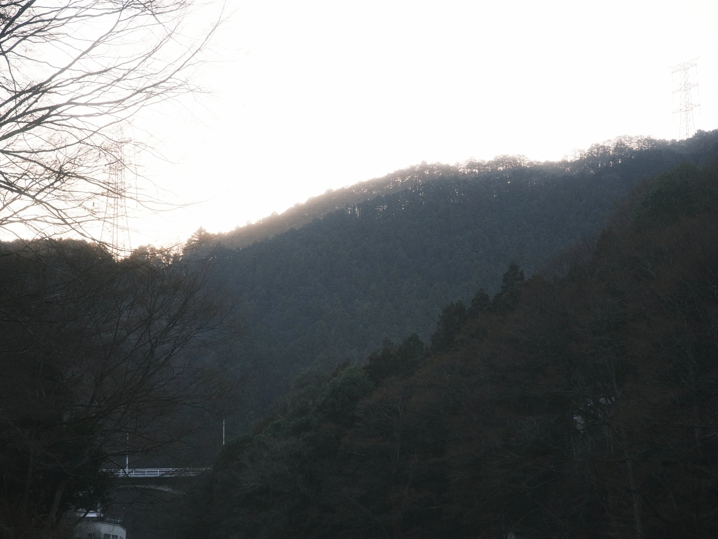 20260321_OKUTAMA_0012.jpg