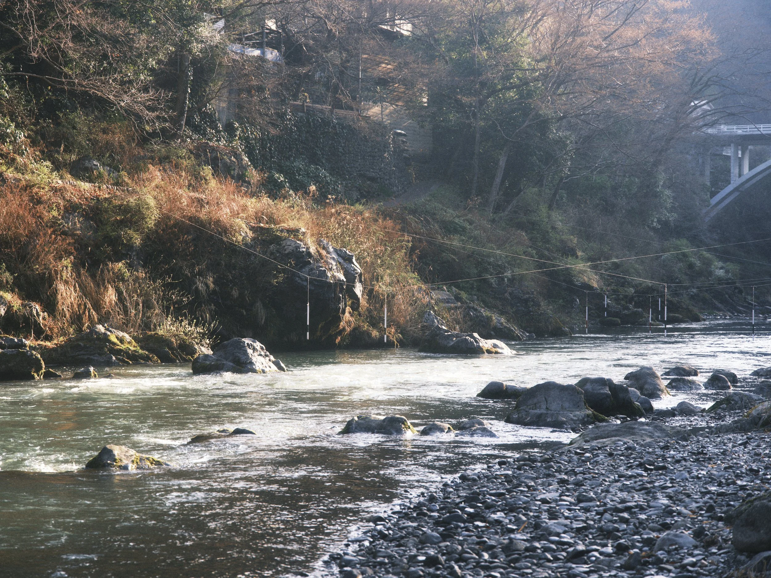 20260321_OKUTAMA_0001.jpg