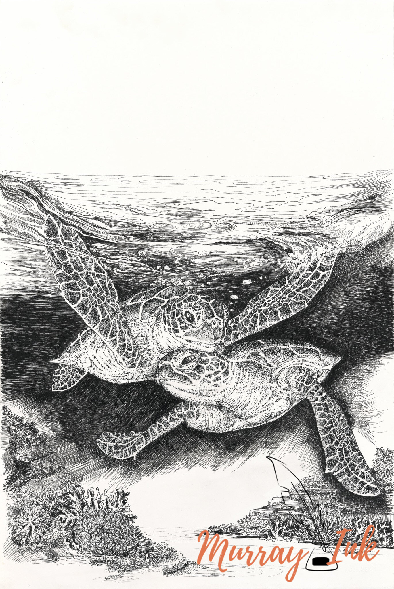 Sea turtles