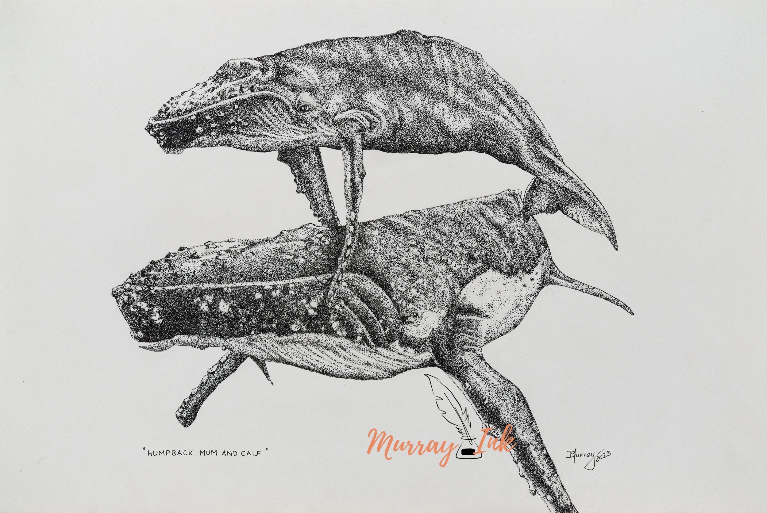 Humpback Mum and Calf.jpg