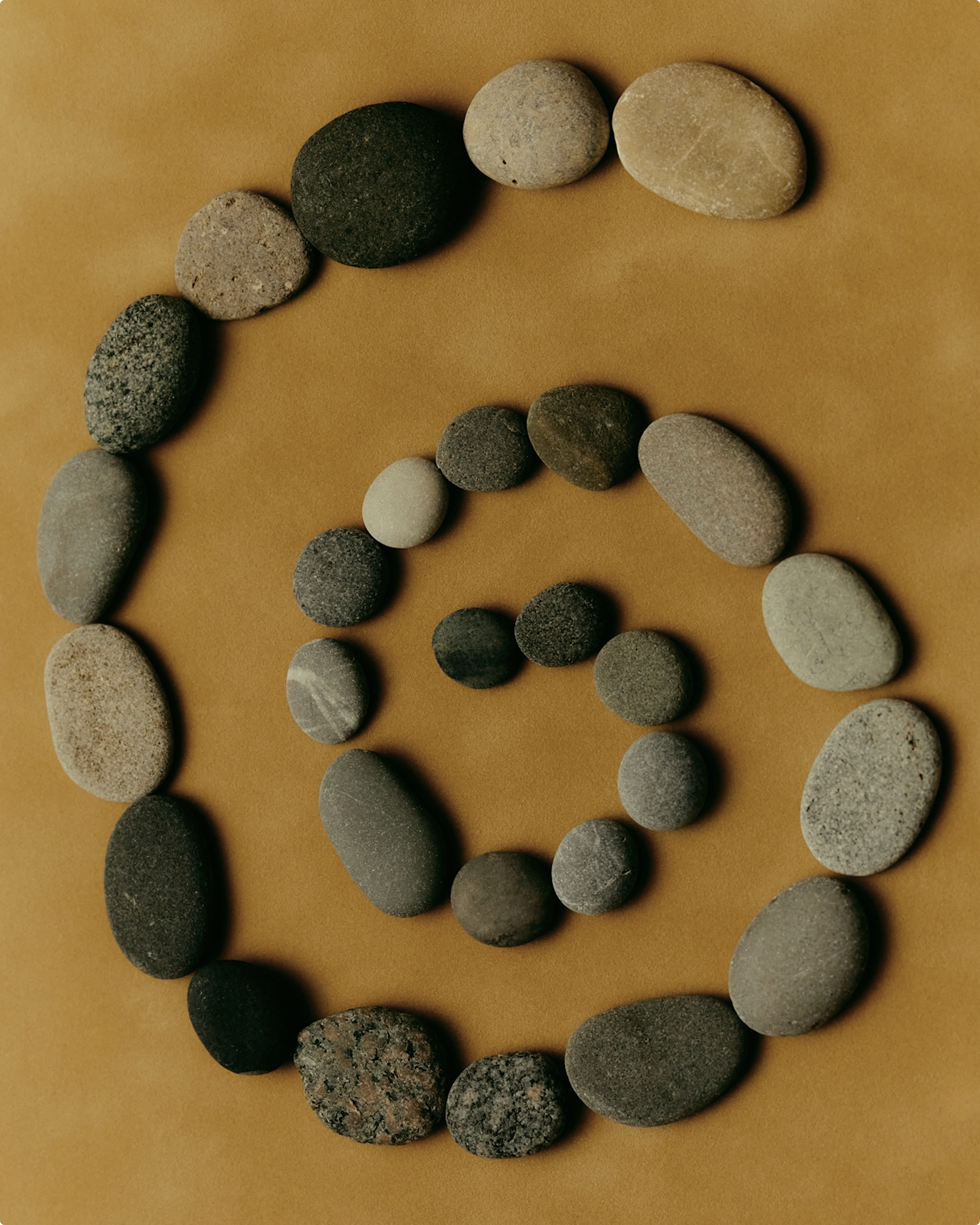 social media post.png