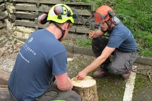 nptc-chainsaw-maintenance-cross-cutting.jpg