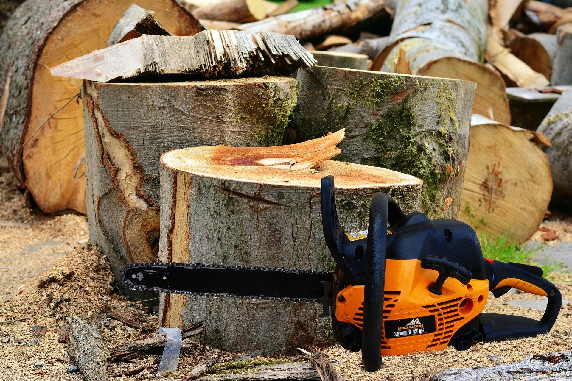 How to Become a Tree Surgeon