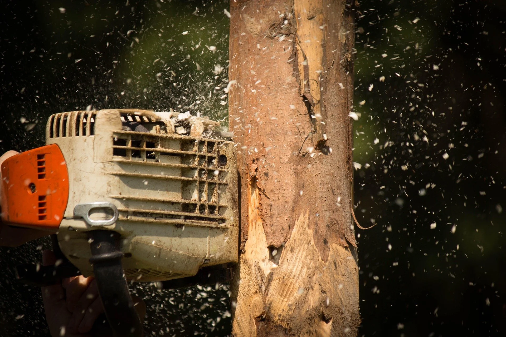 Jobs That Require Chainsaw Training