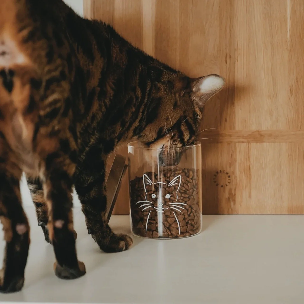 eulenschnitt_gl-274_vorratsglas_katze_photocredits_eulenschnitt-1.jpg