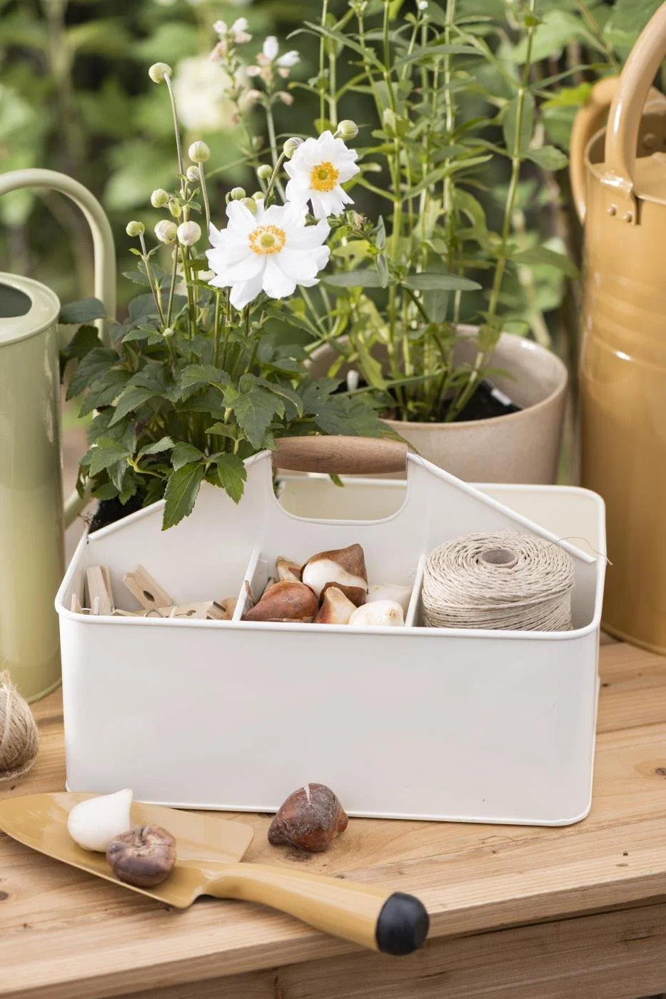 Ib Laursen Kiste mit 6 Faechern in creme Holzgriff.JPG