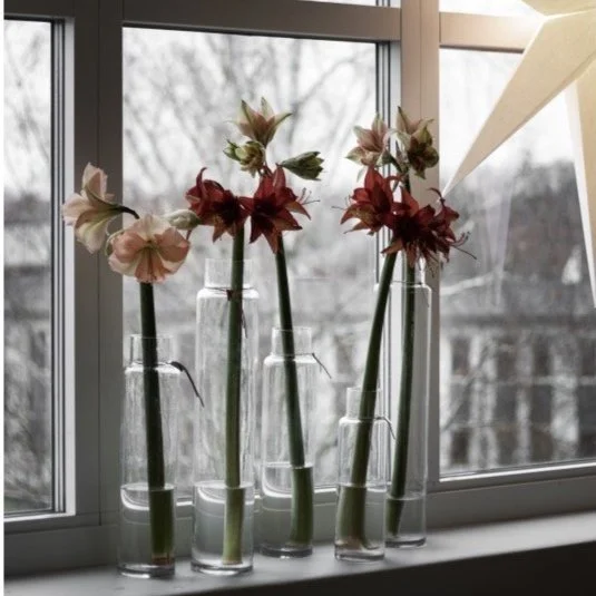 ERNST Vase Glas H34 (schmal