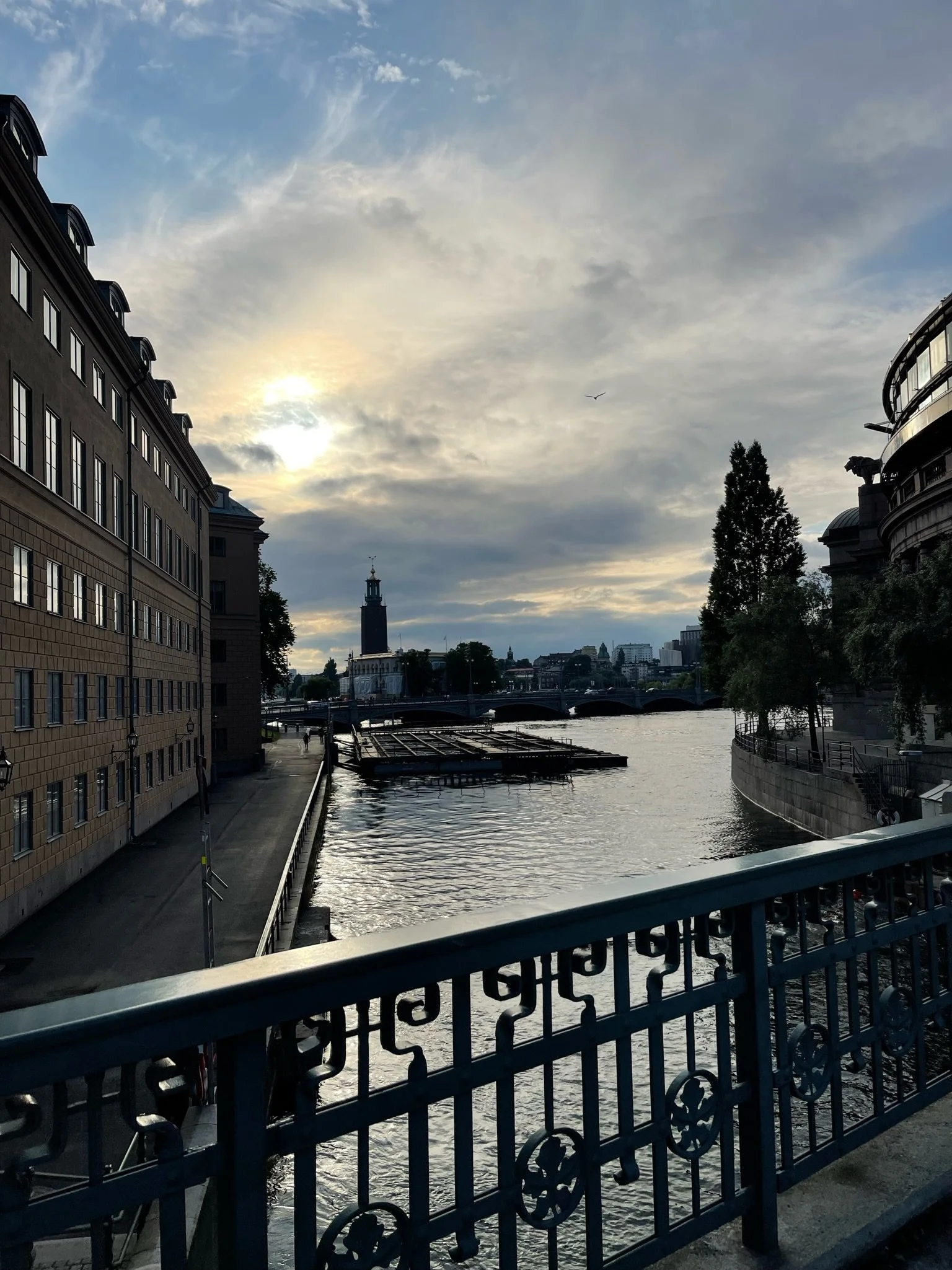 IMG_6755.jpeg
