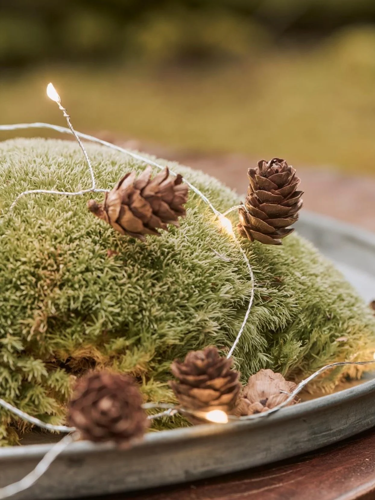 .
.
Zauberhafte Lichterkette mit 10 LEDs und Zapfen.
Perfekt f&uuml;r die Herbstdeko 🍁🍂🎃

Foto: @iblaursen 

#herzenszuckershop #herzenszucker #onlinebutik #friedberg #wetterau #iblaursen #iblaursendk #zapfen #lichterkette #led #herbst #herbstdeko