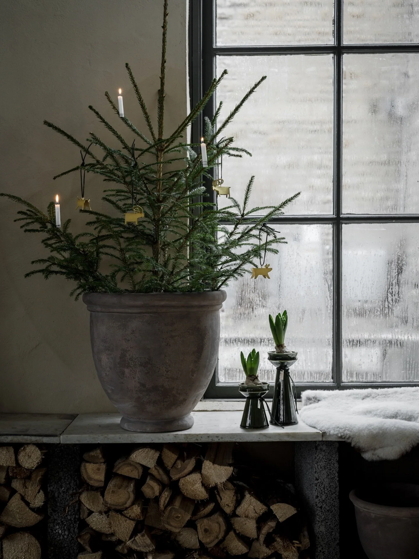 Hej Hej!

Einen wundersch&ouml;nen 2. Weihnachtstag. 🎄⭐️💫✨
Ich mag das Wetter aktuell, nachts friert es und tags&uuml;ber kalt und Sonne. 
.
.
.
.
.
.

#herzenszucker #skandichristmas 
#skandinavischwohnen #skandistyle
nordicdesign nordicliving